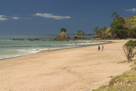 Strandbild Neuseeland Tauranga Bay