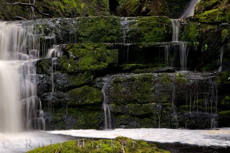 Wasserfall Bild Moos Mc Lean Falls