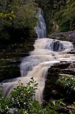Wasserfall Catlins Mc Lean Falls
