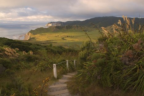 Kueste Wege In Neuseeland