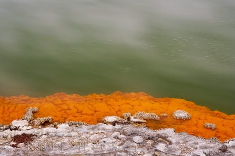 Champagne Pool Rotorua