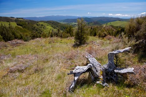 Lake Rotoiti Landschaft Neuseeland