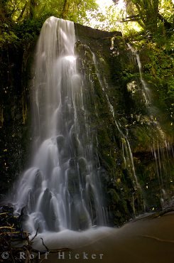 Wasserschleier Felsen Bild Matai Falls