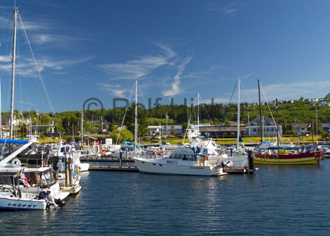 Port Mcneill Hafen Bilder