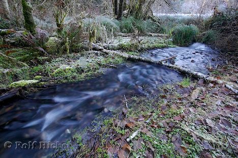 Flusslauf Regenwald