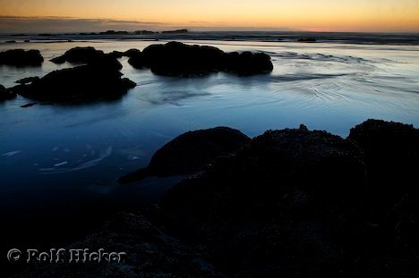 Kalaloch Beach Daemmerung Olympic Peninsula