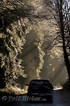 Strassenbild Regenwald