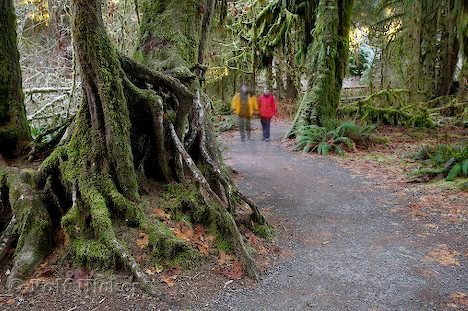 Wege Olympic Nationalpark