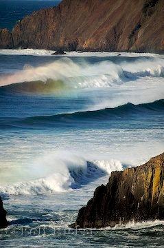 Ecola State Park Bild