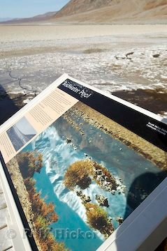 Badwater Basin Schild