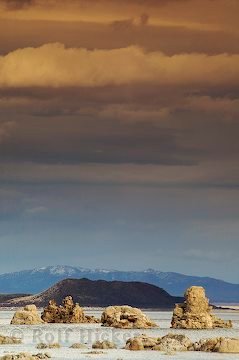 Tufa Gestein Mono Lake