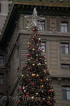 Weihnachtsbaum Mit Stern