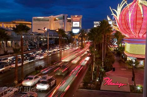 Flamingo Hotel Las Vegas Neonlichter