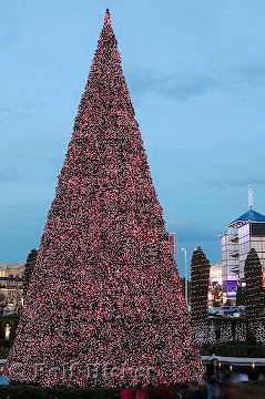 Las Vegas Weihnachtsferien