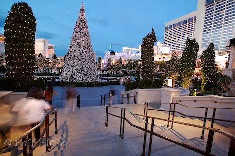 Weihnachten Las Vegas Weihnachtsbaum