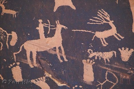 Felsgravuren Petroglyphen Pferd
