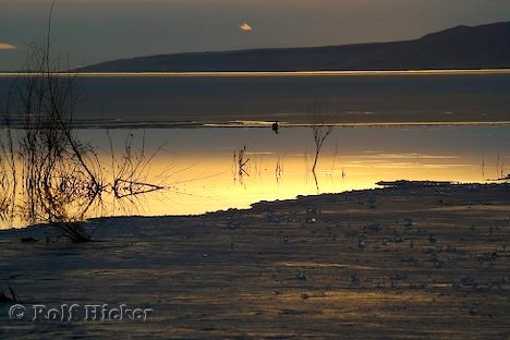 Great Salt Lake Sonnenuntergang