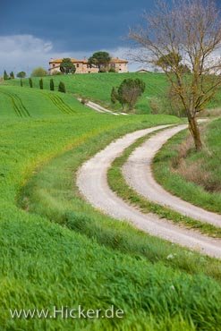 Feldweg Durch Landschaft Der Toskana Italien