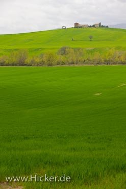 Landgut Auf Huegel Landleben Toskana Italien