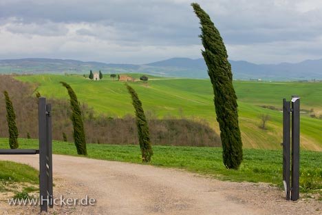 Strasse Zypressen Toskana Landschaft