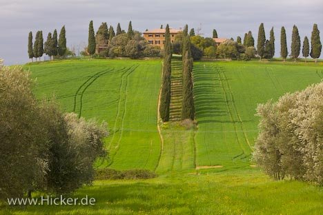 Villa Toskana Hügel Bäume Landschaft