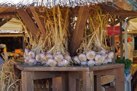 Marktstand Mit Frischem Knoblauch In Der Camargue Provence Frankreich