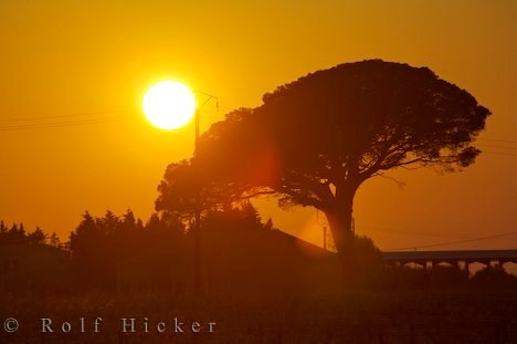 Sonnenuntergang Region Languedoc Roussillon Frankreich