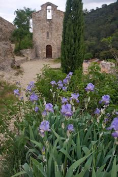 St Roch Kapelle Frankreich Blaue Blumen