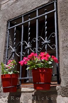 Fenster Blumen Hecho