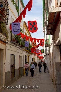 Gasse Flaggen Mercado Medieval Markt Fest Cordoba Spanien