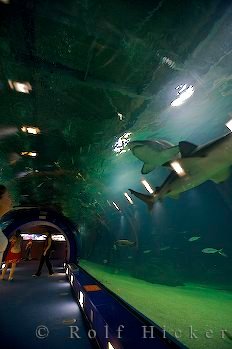Glastunnel Unterwasser Oceanografic