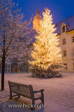 Bank Weihnachtsbaum Abendspaziergang Freising