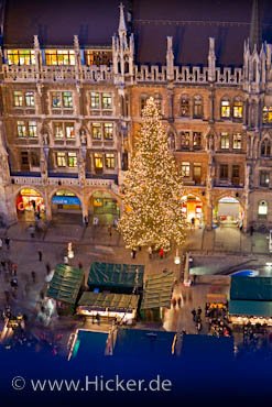 Weihnachtsbaum Münchner Weihnachtsmarkt