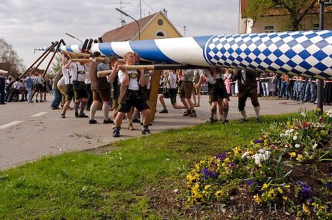 Maibaum Diebstahl