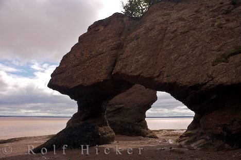 Blumentopf Felsen New Brunswick Tourismus