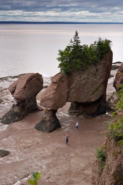 Hopewell Rocks Erosion Naturwunder Kanada