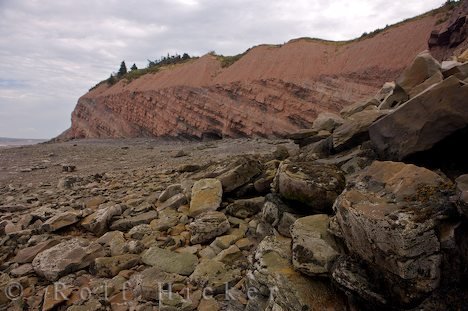 Fossil Cliffs Klippen Küste Nova Scotia