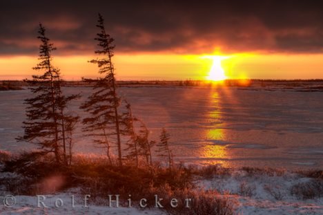 Sonnenuntergang See Arktische Tundra Manitoba Kanada