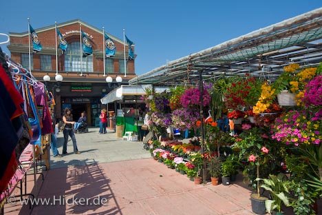 Blumenstand Grosse Auswahl ByWard Market Ottawa Kanada