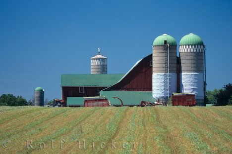 Getreidesilos Farm Ontario