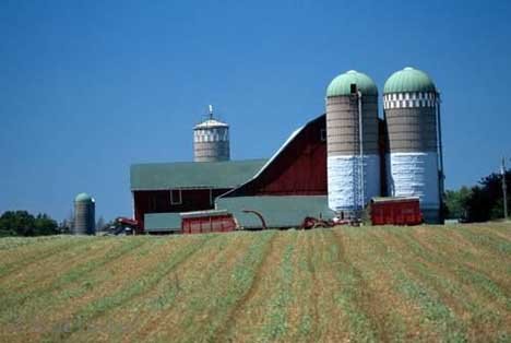 Getreidesilos St Jacob Ontario