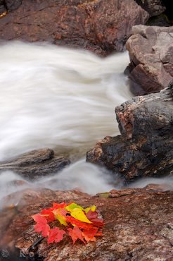 Sand River Herbsturlaub Kanada