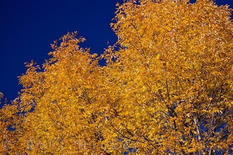 Reisezeit Herbst Quebec Stadt