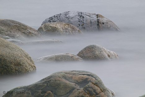 Lobster Cove Reisefotografie Kanada Nebel Am Strand