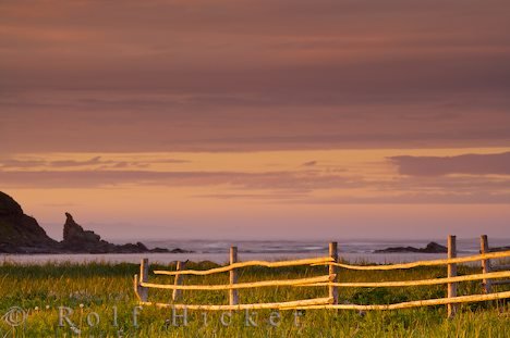 Meer Küste Zaun Bei L Anse Aux Meadows