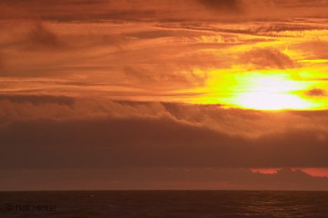 Neufundland Sonnenuntergang Über Dem Meer