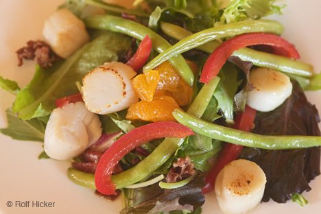 Rezepte Meeresefurcht Salat Neufundland