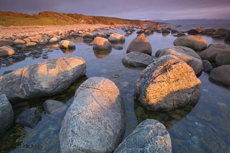 Steine Im Morgenlicht Küstenlandschaft Kanadas