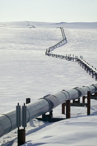 Erdoel Trans Alaska Pipeline Im Winter
