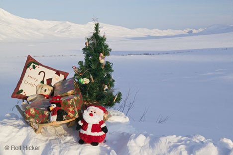 Weihnachtsgeschenke Im Schnee